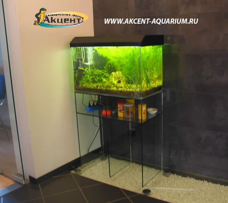 Акцент-аквариум,аквариум 80 литров с живыми растениями